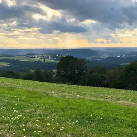 In Near Moselle Valley Apartment