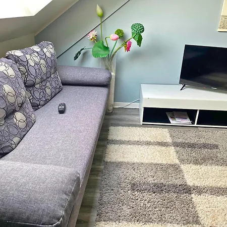 In Near Moselle Valley *